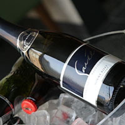 世界中で最も注されているニュージーランドワイン