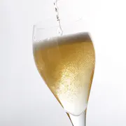 100723p10000013