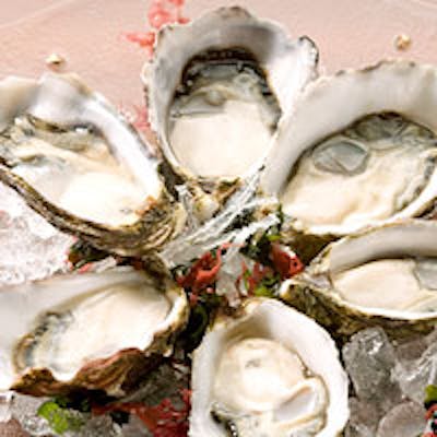 こだわりの食材、ビール、更に店内にも随所に美味しく食事をする為のこだわりが