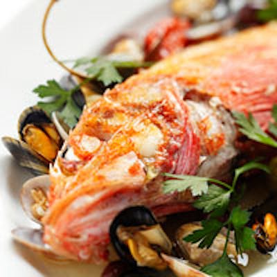 素材を大事にしっかりと手間を掛け、味だけでなく見た目にも美しい料理の数々