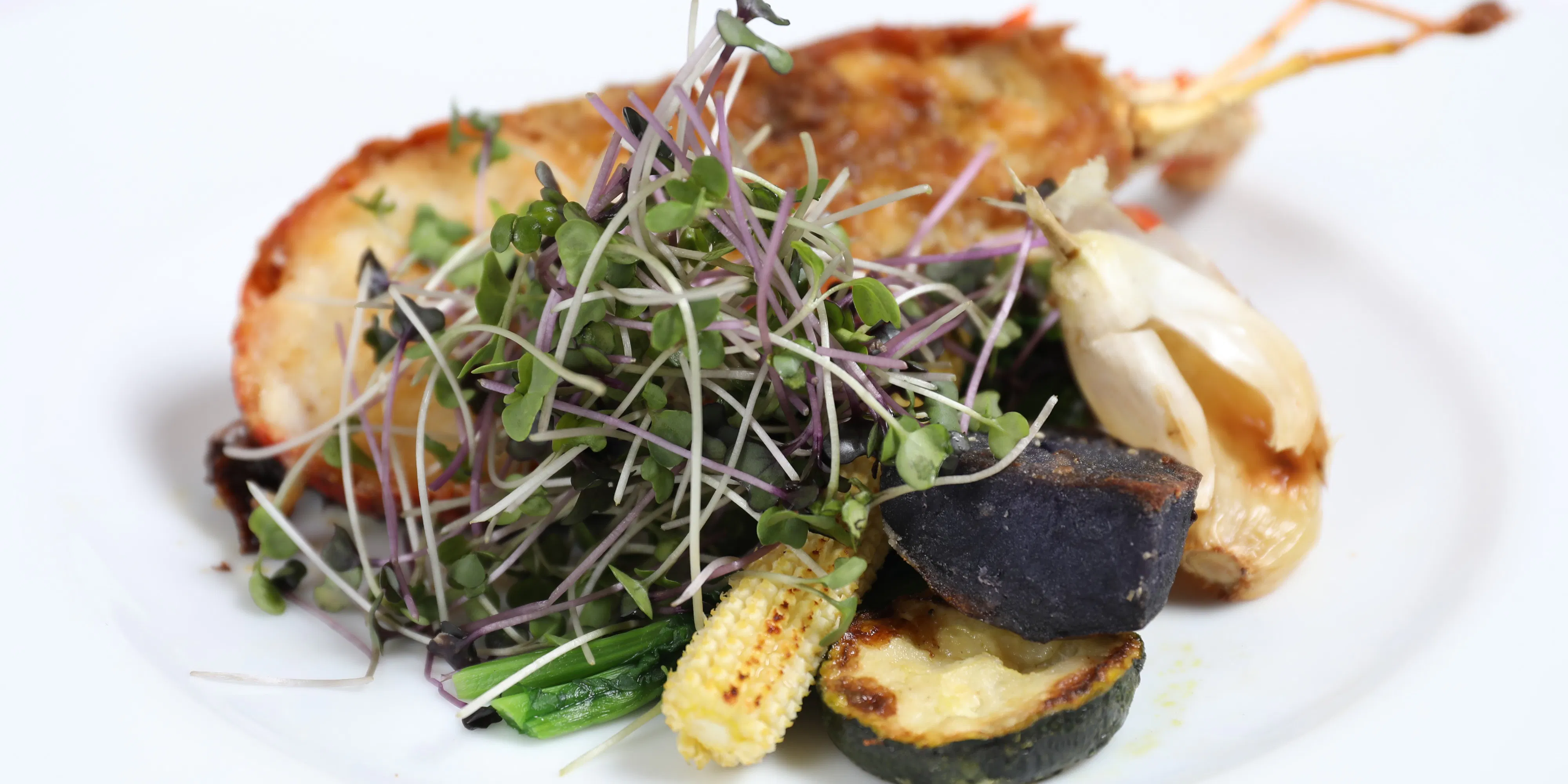 リストランテ デッラ コリーナ Ristorante Della Collina 恵比寿 イタリア料理 一休 Comレストラン