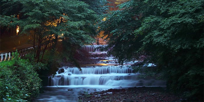 料理旅館 右源太 - 画像5