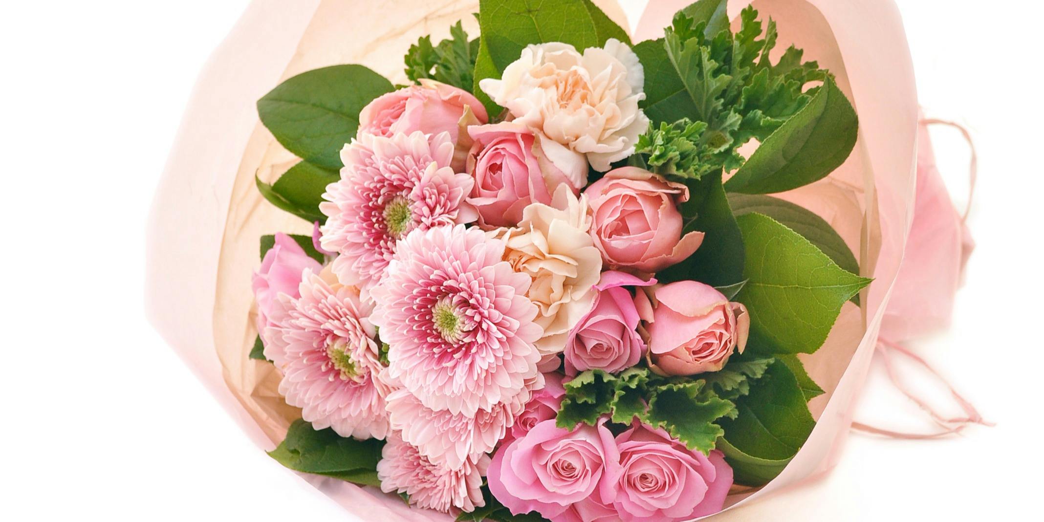 ダンゼロ - 画像26