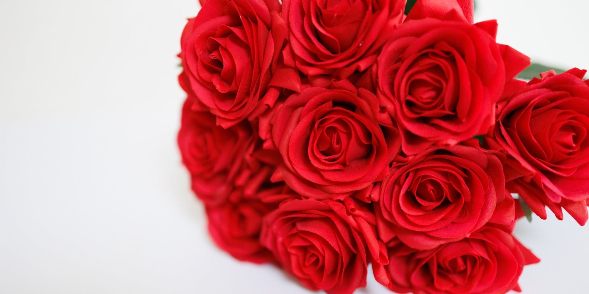 ダンゼロ - 画像25