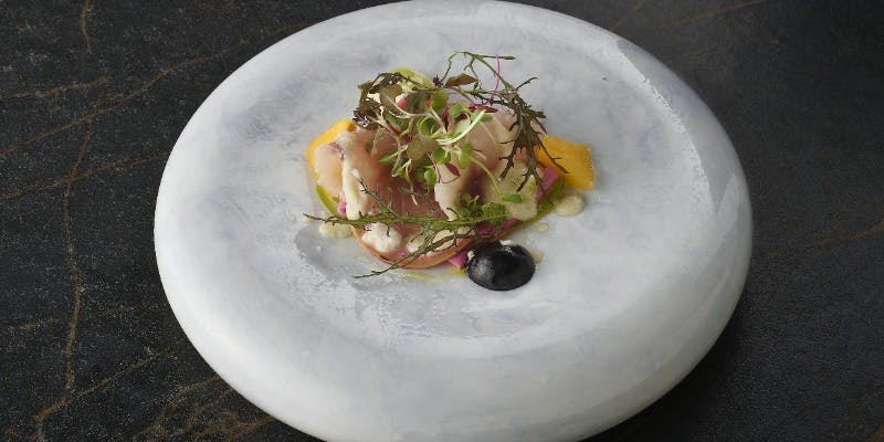 International cuisine subzero 【C Course】特別な日のための