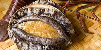 蘭麻（らんま）