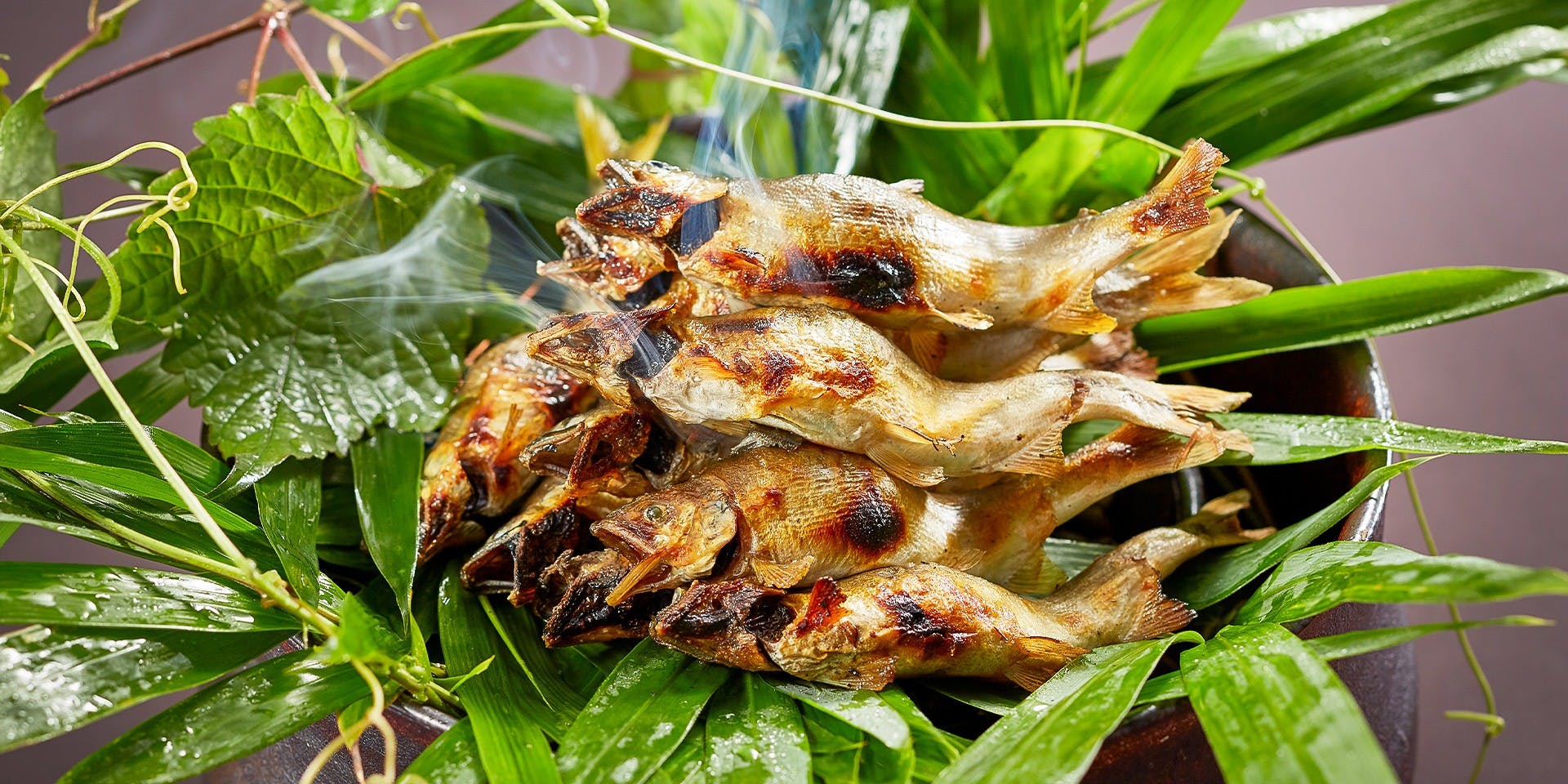 料亭か茂免（かもめ）