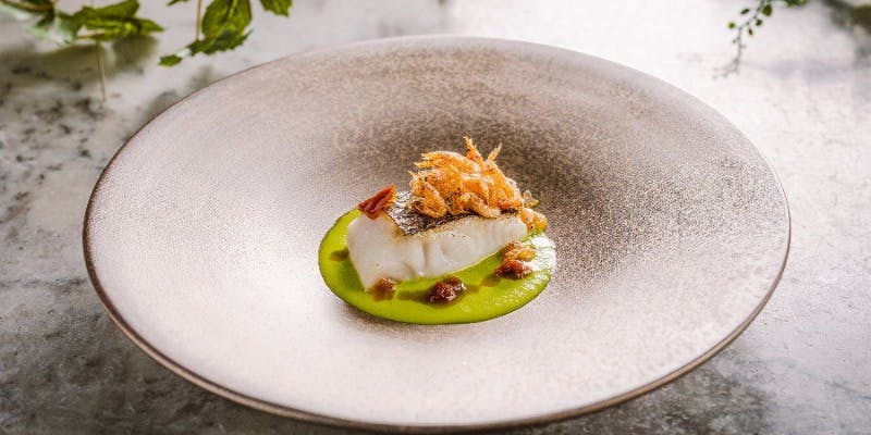 XEX TOKYO 【記念日プラン】選べるメインなど全6品＋