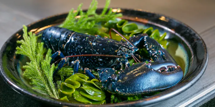 愛知のホテルで和食が楽しめるおすすめレストラントップ 一休 Comレストラン 愛知のホテルで和食が楽しめるおすすめレストラントップ 一休 Comレストラン