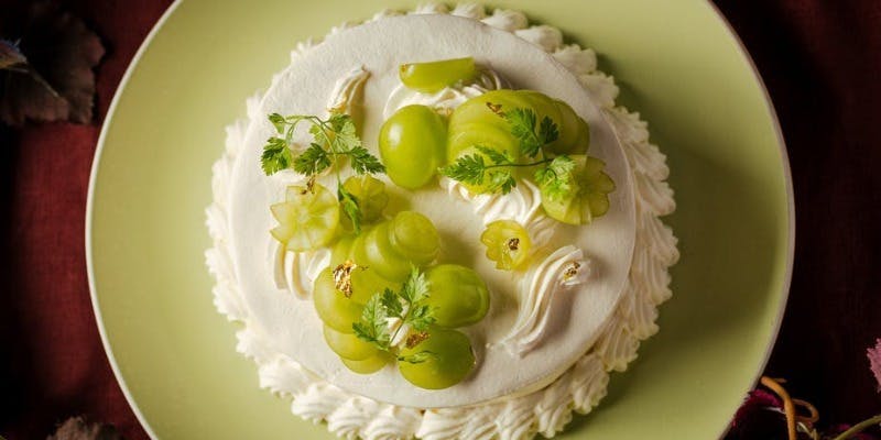 食べかけのポテポッチュシュ 食べかけのポテポッチュシュ 食べかけのポテポッチュシュ POTAGE&SHAKE