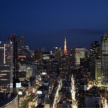 �^���[�r���b�t�F�^�z�e���j���[�I�[�^�j �K�[�f���^���[40F