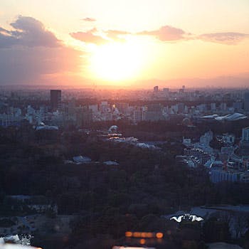 �^���[�r���b�t�F�^�z�e���j���[�I�[�^�j �K�[�f���^���[40F