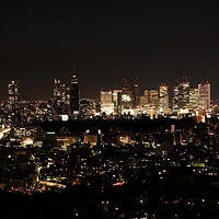 絶好のロケーションから眺める“東京の緑”と、“煌めく都心のパノラマ夜景”