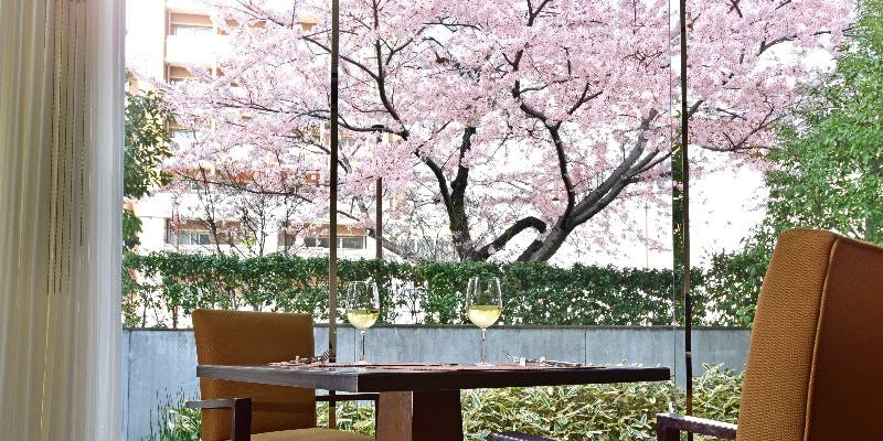 桜 カフェ カリフォルニア シェラトン都ホテル東京 Okaimonoモール レストラン