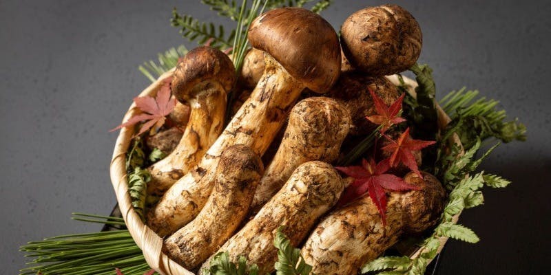 山里／オークラ東京 【松茸会席】全8品 ランチ プラン(12461785