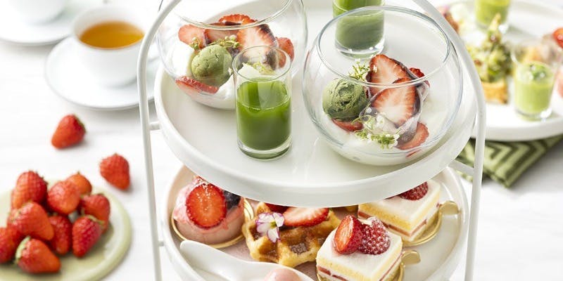 �X�J�C���E���W���_�C�j���O�@�A�[�e�B�X�g �J�t�F�^�����h�[���z�e��