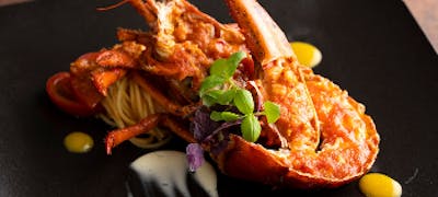 21年 最新 水道橋の美味しいディナー18店 夜ご飯におすすめな人気店 一休 Comレストラン 21年 最新 水道橋の美味しいディナー18店 夜ご飯におすすめな人気店 一休 Comレストラン