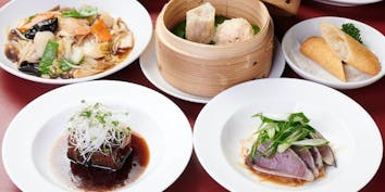 【味覚ランチセットB】フカヒレスープや点心、選べるメイン2品・麺飯料理とデザート - 創作中国料理 AKA