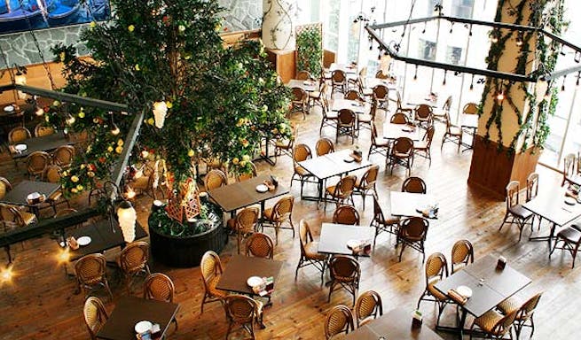 リストランテ ベニーレベニーレ 青山 イタリア料理 一休 Comレストラン