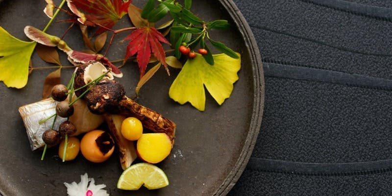 天空の庭　星のなる木