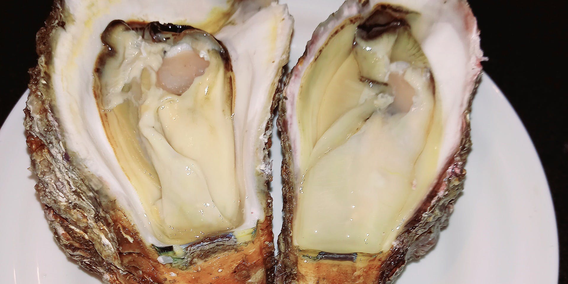 Bistro Hisagi（ビストロヒサギ【旧店名】銀座 楸）