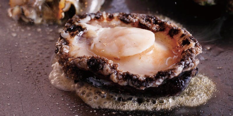 期間限定【鮑ランチ】絶品！活鮑と選べるステーキが愉しめる、全7品