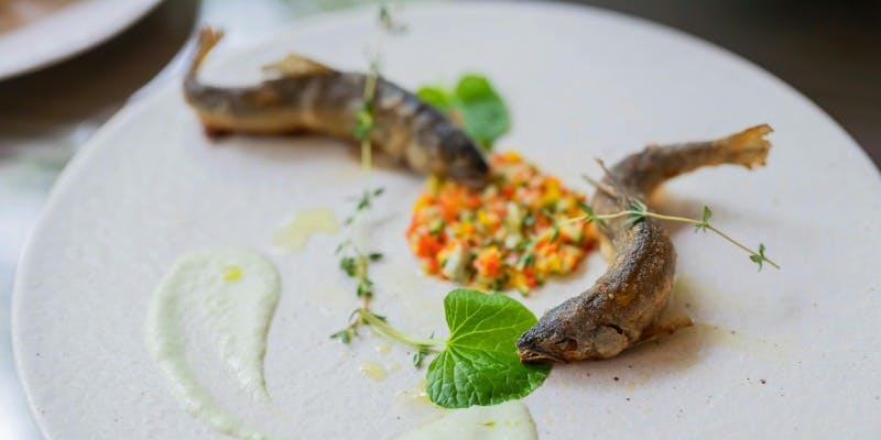 【Cena A】本日のおまかせコース　全6品