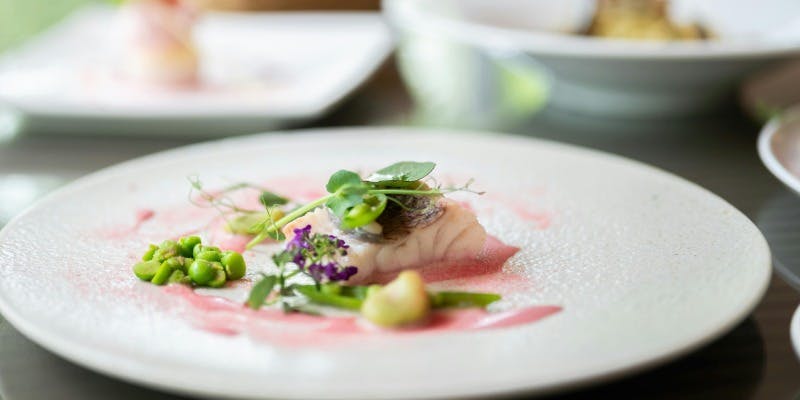 【Lunch B】お昼でもフルコース仕立てで特別な食事をしたい方