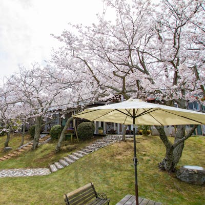 鳴門海峡を望むロケーションと季節によって表情をかえるガーデン