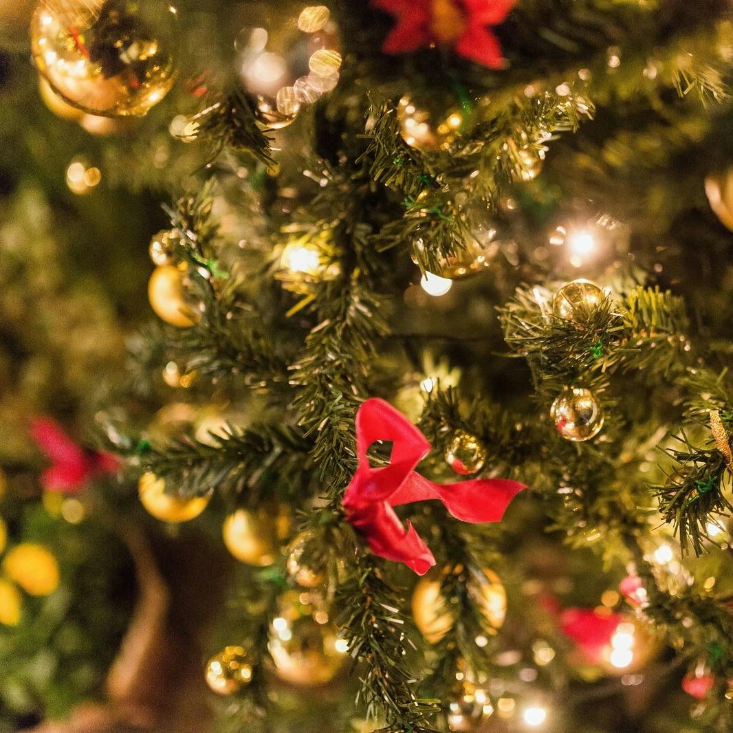 Koso 本店 Xmas 極上クリスマスランチ 乾杯シャンパン付 ランチ プラン メニュー 一休 Comレストラン Koso 本店 Xmas 極上クリスマスランチ 乾杯シャンパン付 ランチ プラン メニュー 一休 Comレストラン