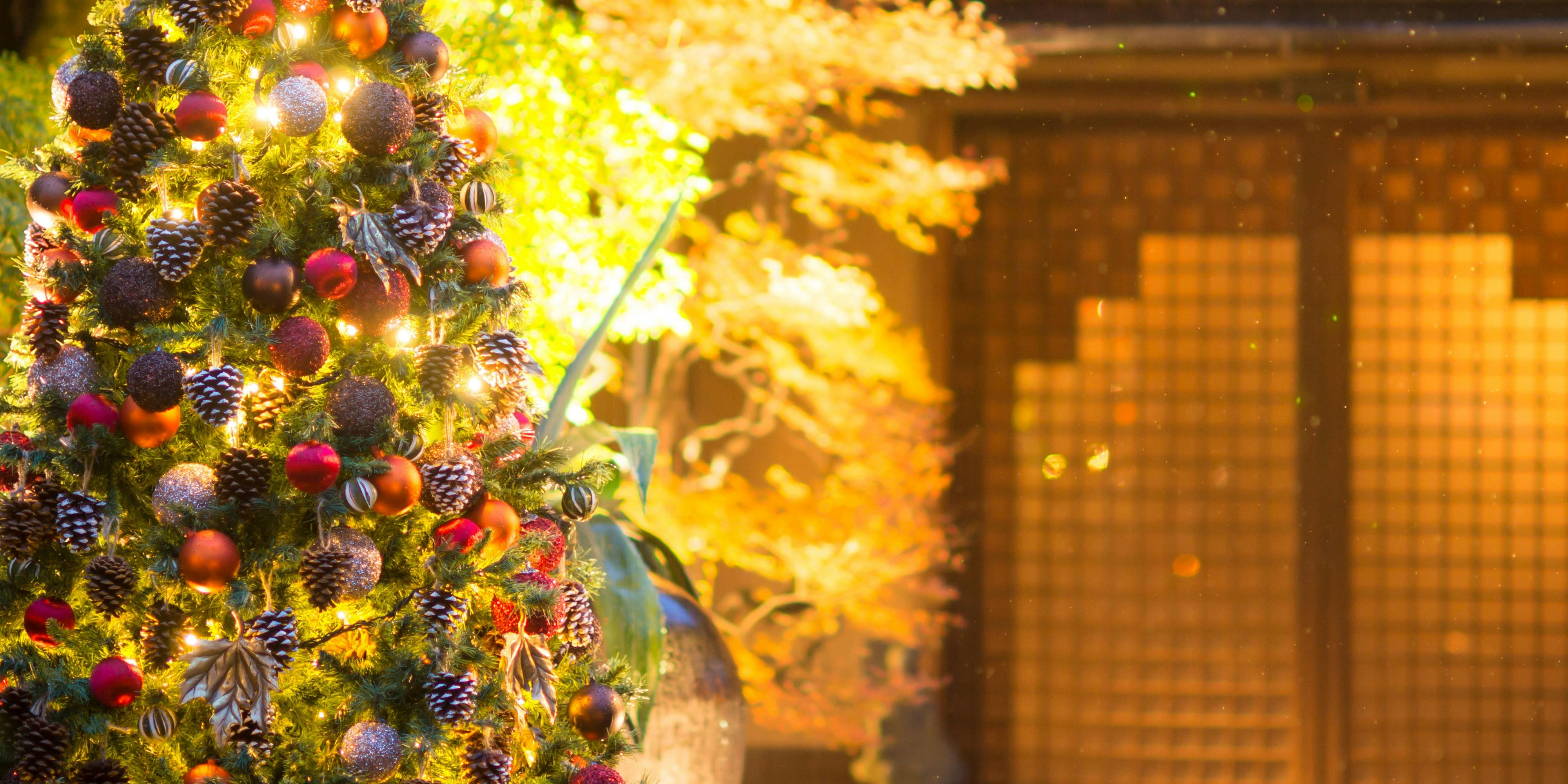 ザ ソウドウ ヒガシヤマ キョウト The Sodoh Higashiyama Kyoto 東山 イタリア料理 一休 Comレストラン