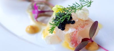 22年 最新 旧居留地 大丸前駅周辺の美味しいディナー18店 夜ご飯におすすめな人気店 一休 Comレストラン 22年 最新 旧居留地 大丸前駅周辺の美味しいディナー18店 夜ご飯におすすめな人気店 一休 Comレストラン