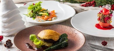 22年 最新 西宮北口駅周辺の美味しいディナー6店 夜ご飯におすすめな人気店 一休 Comレストラン 22年 最新 西宮北口駅周辺の美味しいディナー6店 夜ご飯におすすめな人気店 一休 Comレストラン