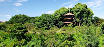 東京カテドラル関口教会周辺グルメ おしゃれで美味しい レストランランキング 26選 一休 Comレストラン