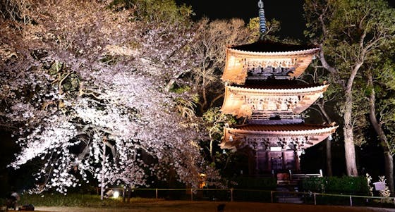 ホテル椿山荘東京 イベント 都会の森の夏休み 家族で体験教室 ランチ18 フォトフレーム作り体験教室 ランチ プラン メニュー 一休 Comレストラン