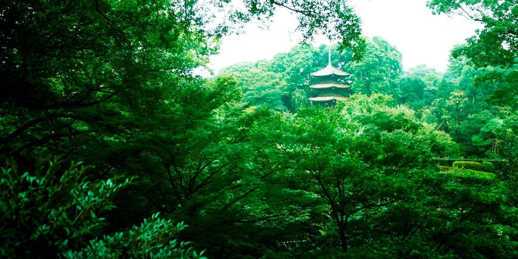 ホテル椿山荘東京 限定レストラン/イベント - 画像3