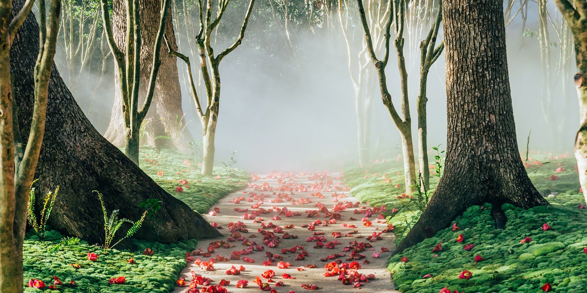 ホテル椿山荘東京 限定レストラン/イベント - 画像5