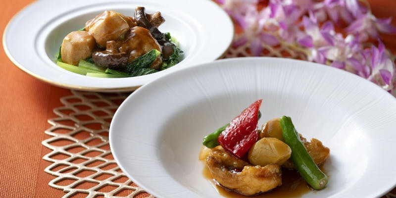 【フェアランチ】シェフ厳選の月替わりメニュー全7品＋1ドリンク