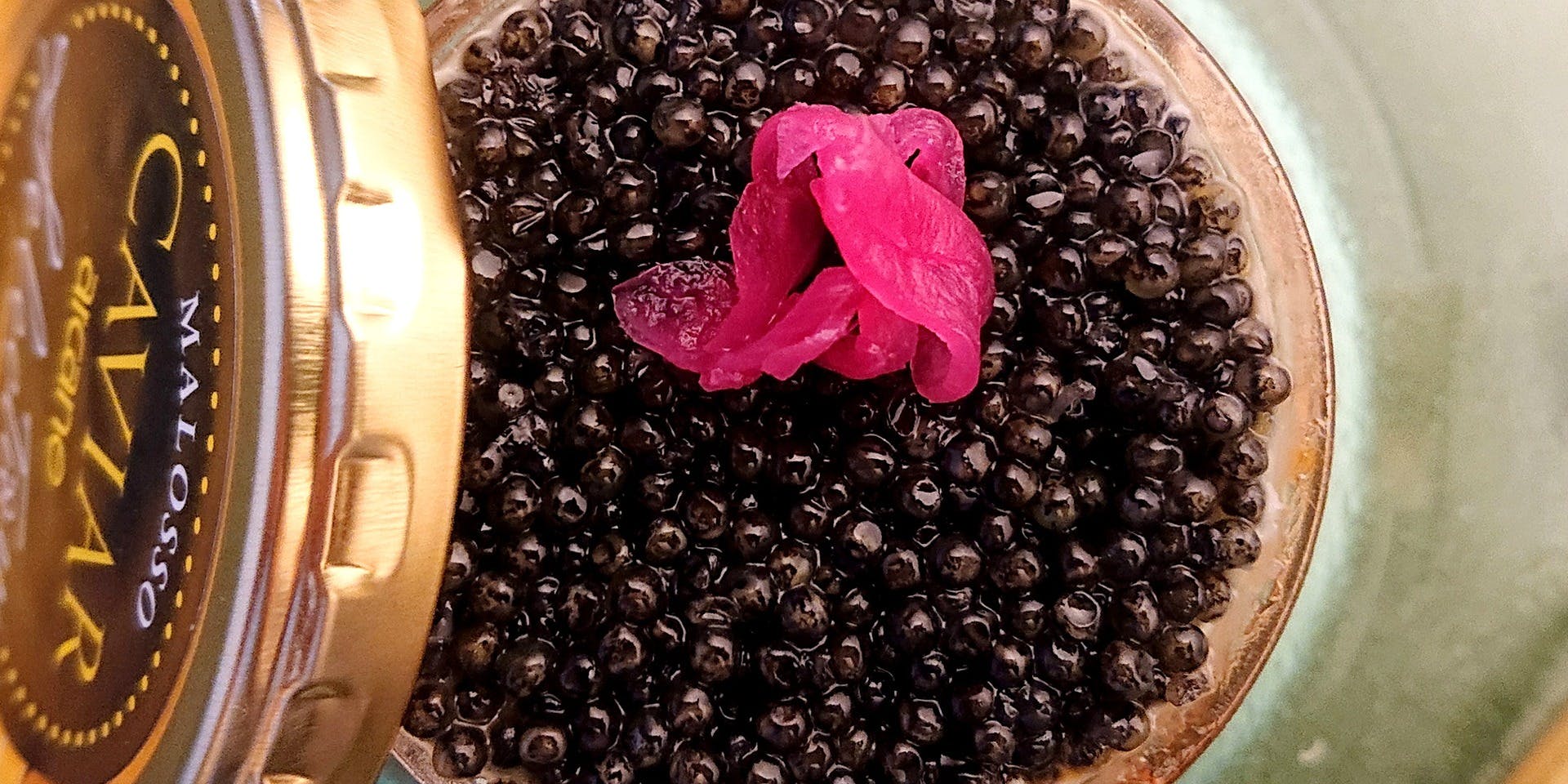 銀座フレンチ ＆ ワインバー 地球星 - 画像4