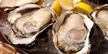 Oysterbar Wine Belon ブロン 渋谷 渋谷 イタリア料理 オイスターバー 一休 Comレストラン