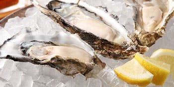 Oysterbar Wine Belon ブロン 渋谷 渋谷 イタリア料理 オイスターバー 一休 Comレストラン