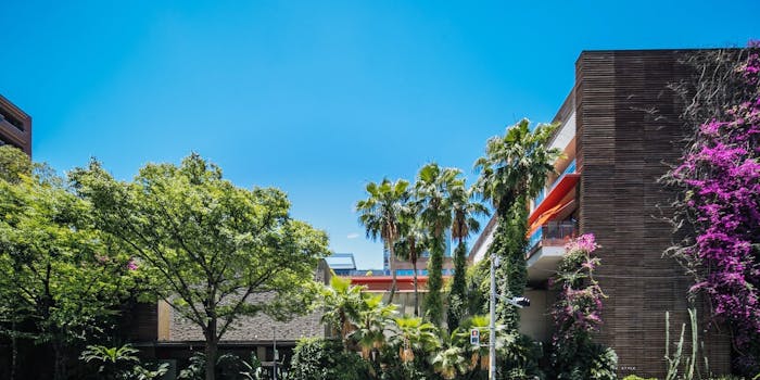 博多駅周辺のランチで女子会におすすめレストラントップ4 一休 Comレストラン 博多駅周辺のランチで女子会におすすめレストラントップ4 一休 Comレストラン