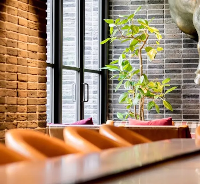 福岡グルメ おしゃれで美味しい レストランランキング 30選 一休 Comレストラン