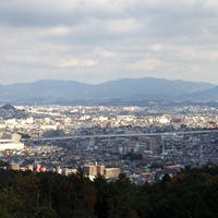 店内からの眺め