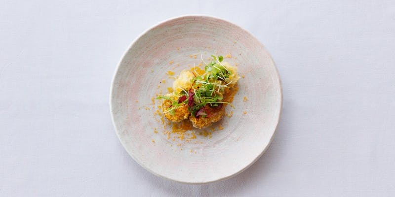 【Dejouner B】前菜やスープ、選べるメインディッシュなど全6品