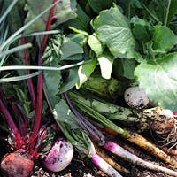 シェフイメージ