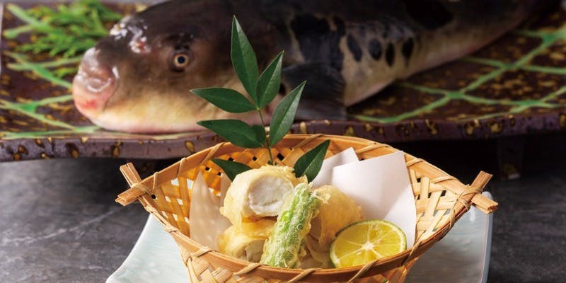 【河豚コース・しらゆき】先付けから刺身、天麩羅まで、白身の王様・河豚を贅沢に