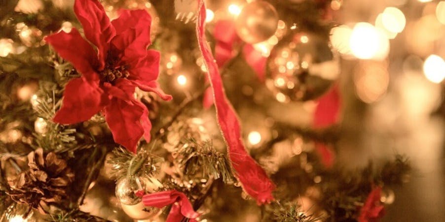 春秋 渋谷文化村通 - 画像18