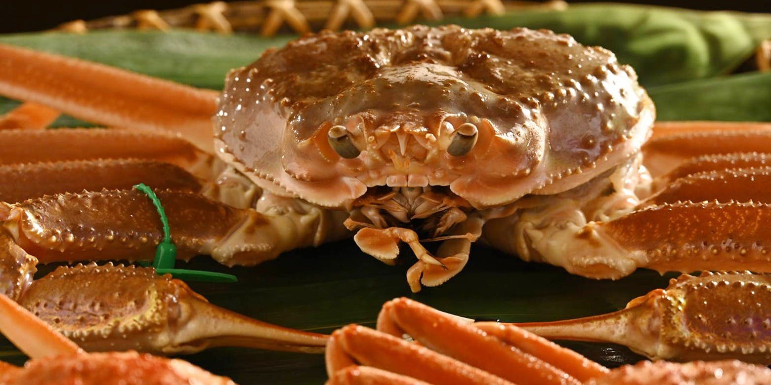 祇園 末友（すえとも）