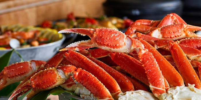 カフェレストラン ザ カフェ カフェレストラン ザ カフェ ハイアット リージェンシー 大阪 ブッフェ 一休 Comレストラン